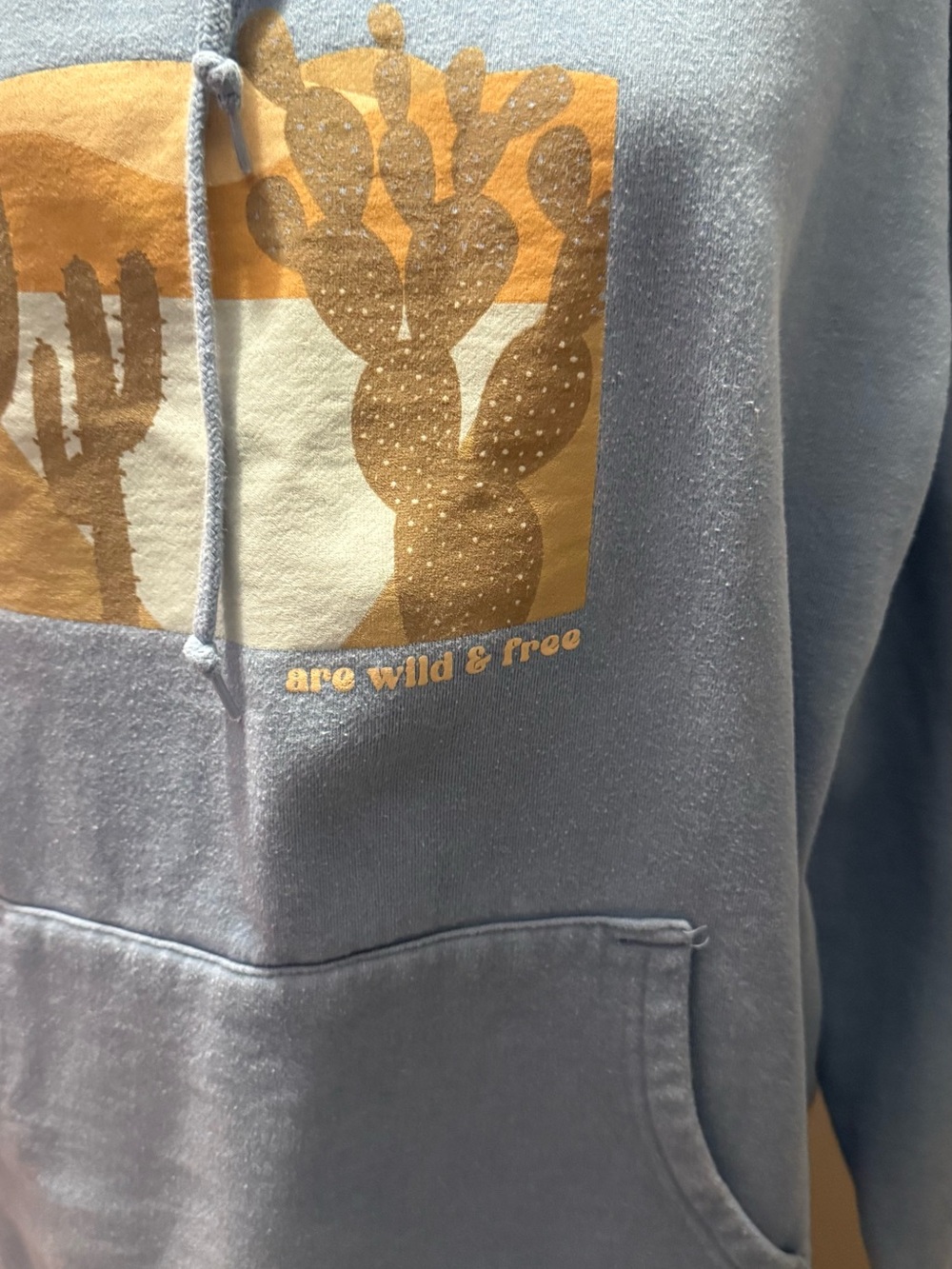 Blue Graphic Hoodie Sweatshirt - All Good Things Desert Print - Picture 4 of 9